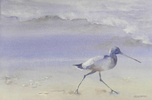After the Storm 1000-07-HLF