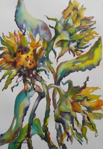 Ala Sunflowers 2100-22-HLF 1500px