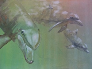 Dolphin Curiosity 9000-19-HLF 1200px