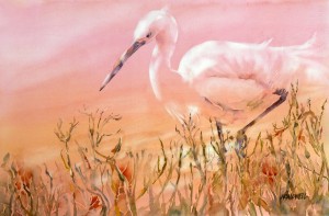 Egret in Pink 2100-01-HLF 1200px