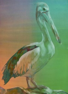 Timm's Pelican 1000-01-HLF 1200px